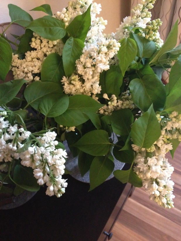 Meine Blumen für…