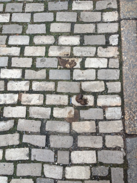 Das ist doch alles Scheiße&nbsp;hier!