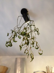 Mistelzweig, zum Drunterstellen (Beispiel)