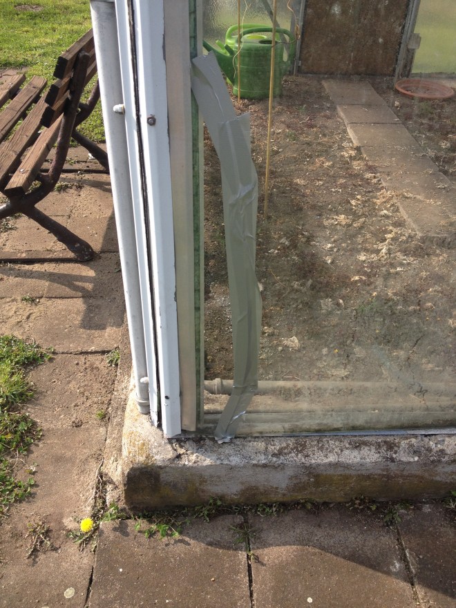 glitzerndes Gewäschshaus