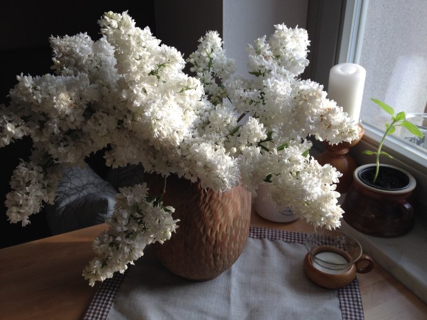 Meine Blumen für…