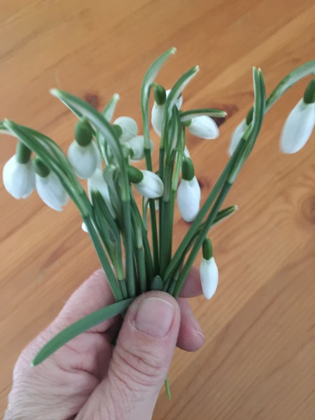 Meine Blumen für…