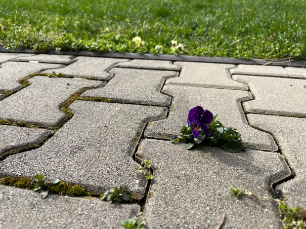 Leben und Lassen – im April&nbsp;2023